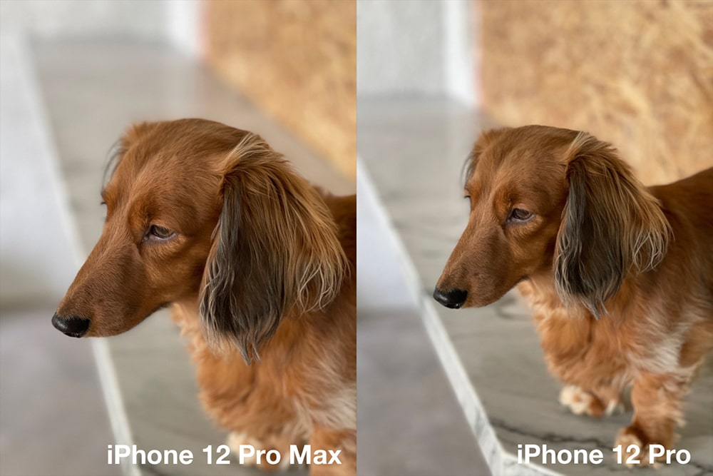 Cảm nhận nhanh về iPhone 12 Pro Max: Rất tuyệt nhưng có đáng nâng cấp?